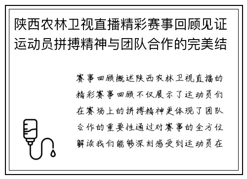陕西农林卫视直播精彩赛事回顾见证运动员拼搏精神与团队合作的完美结合